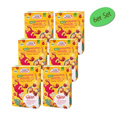 Bio Knusper Kringel - FruchtBar Pausenfreund - 6er Vorratspack - Vorderseite